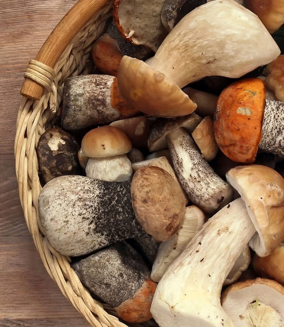 How to Select and Store Fresh Mushrooms