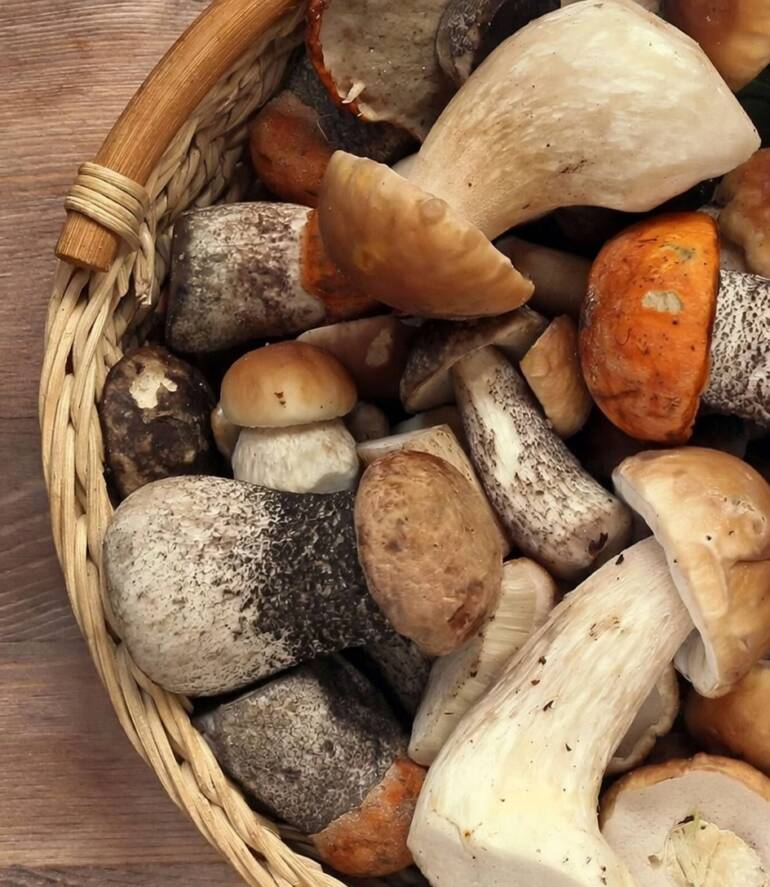 Cremini Mushrooms: The Versatile Kitchen Workhorse