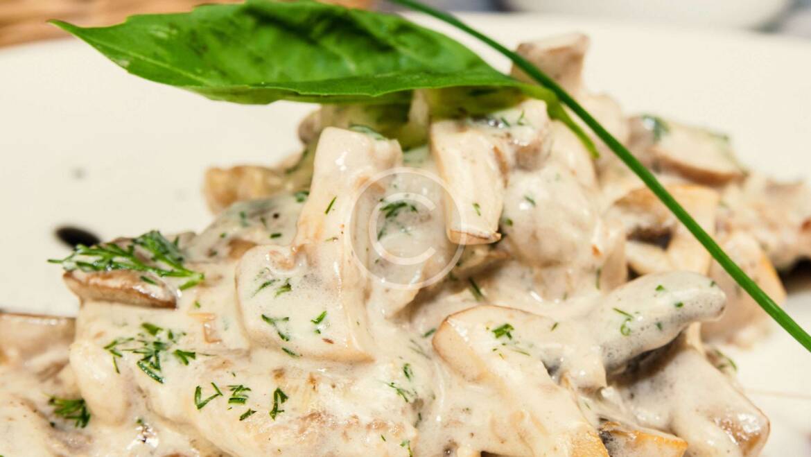 Wild Mushrooms vs. Cultivated: Understanding Your Options