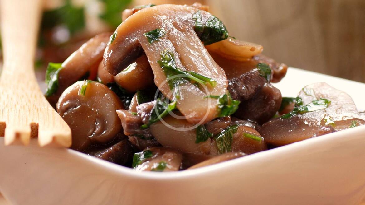 Getting Back to Basics: Beginner Mushroom Growing Guide