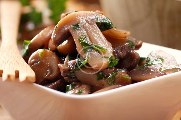 Getting Back to Basics: Beginner Mushroom Growing Guide